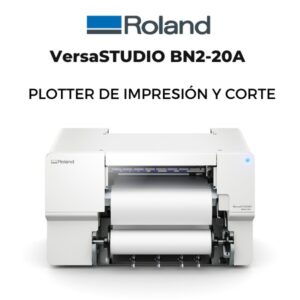 roland bn2-20a